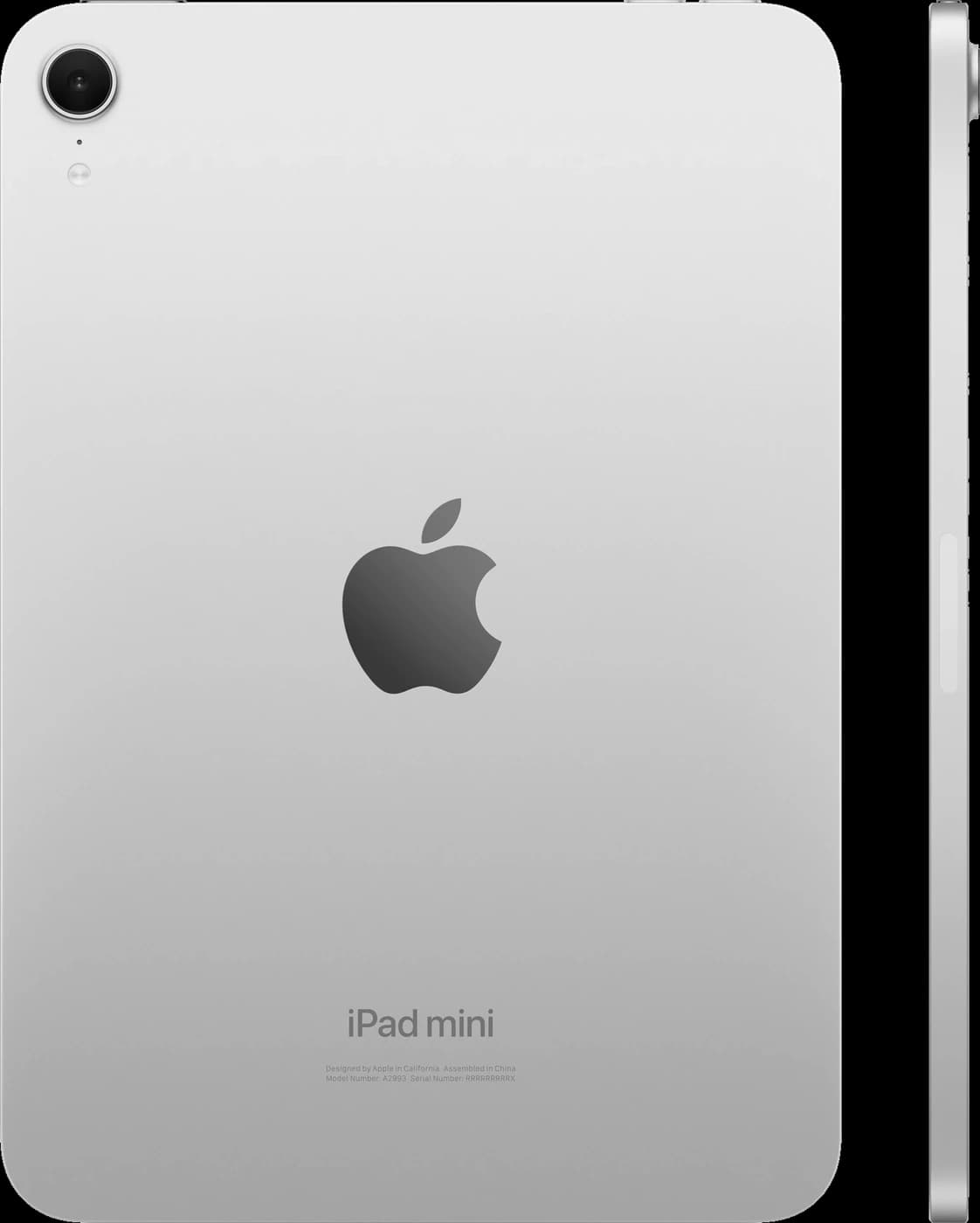iPad mini · Space Gray