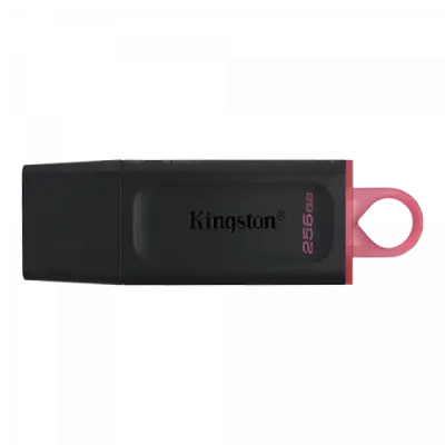 Kingston DTX/256GB USB Flash memorija 256GB