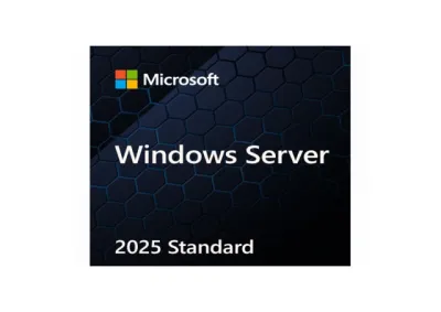 Microsoft Windows Server Standard 2025 licence, black