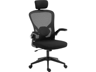 Sandberg ErgoFusion Basic 640-97 Gaming stolica, Crna
