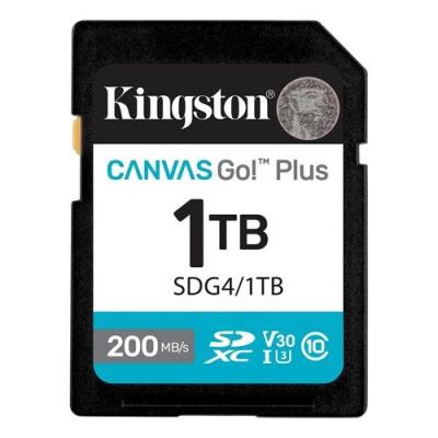 Kingston SDG4 SD kartica 1TB