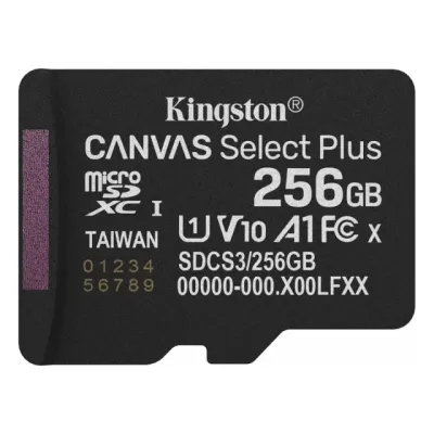 Kingston SDCS3 карта памяти MicroSD, 256 GB UHS U1