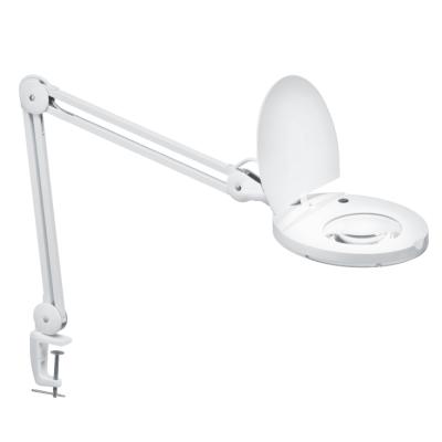 Prosto LLP6025-8 Stona lampa sa lupom