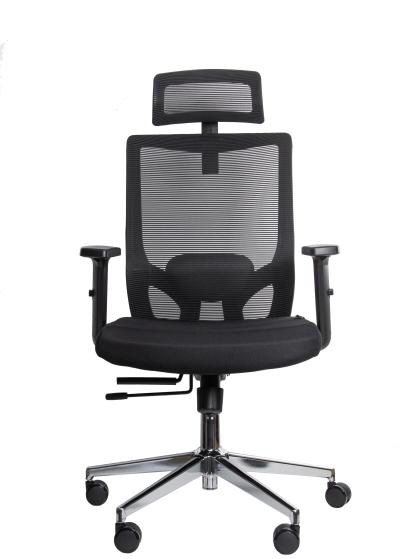 Ergonomic Office Chair UGD Axis D41