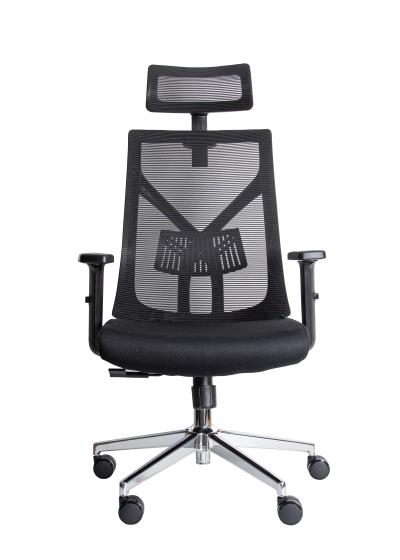Ergonomic Office Chair UGD Aura D32