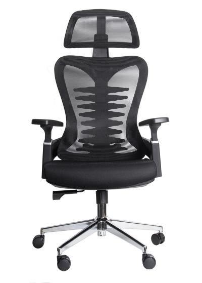 Ergonomic Office Chair UGD EasySit D50