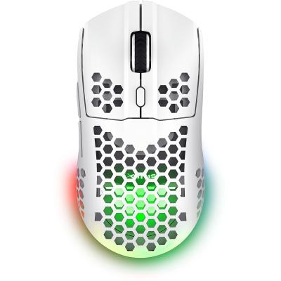 Trust GXT929W игровая мышь HELOX 4800DPI, белая