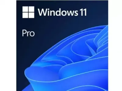 Microsoft Windows 11 Pro FQC-10528 64 bit Eng Intl OEM DSP DVD 24H2
