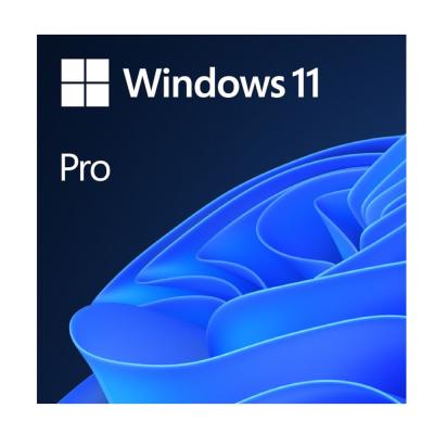 Microsoft GGK Windows 11 Pro/64bit/Eng Int/DVD/1 PC licence
