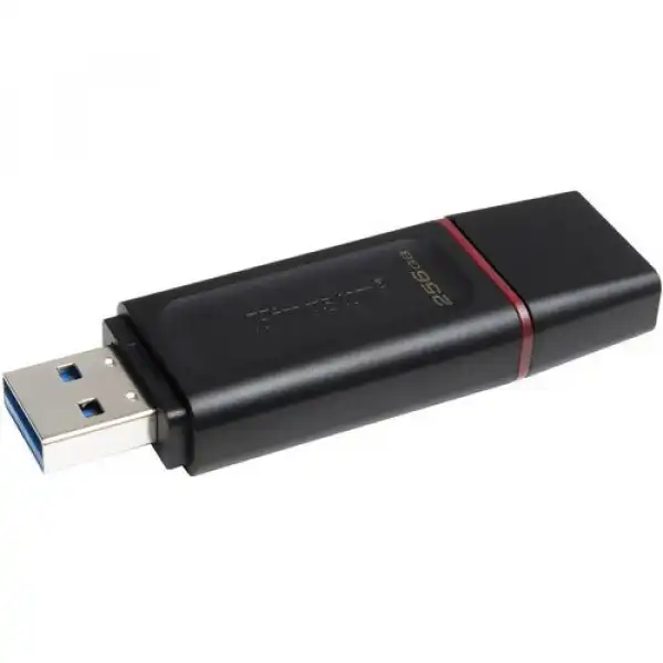 Kingston DTX/256GB USB Flash memorija 256GB