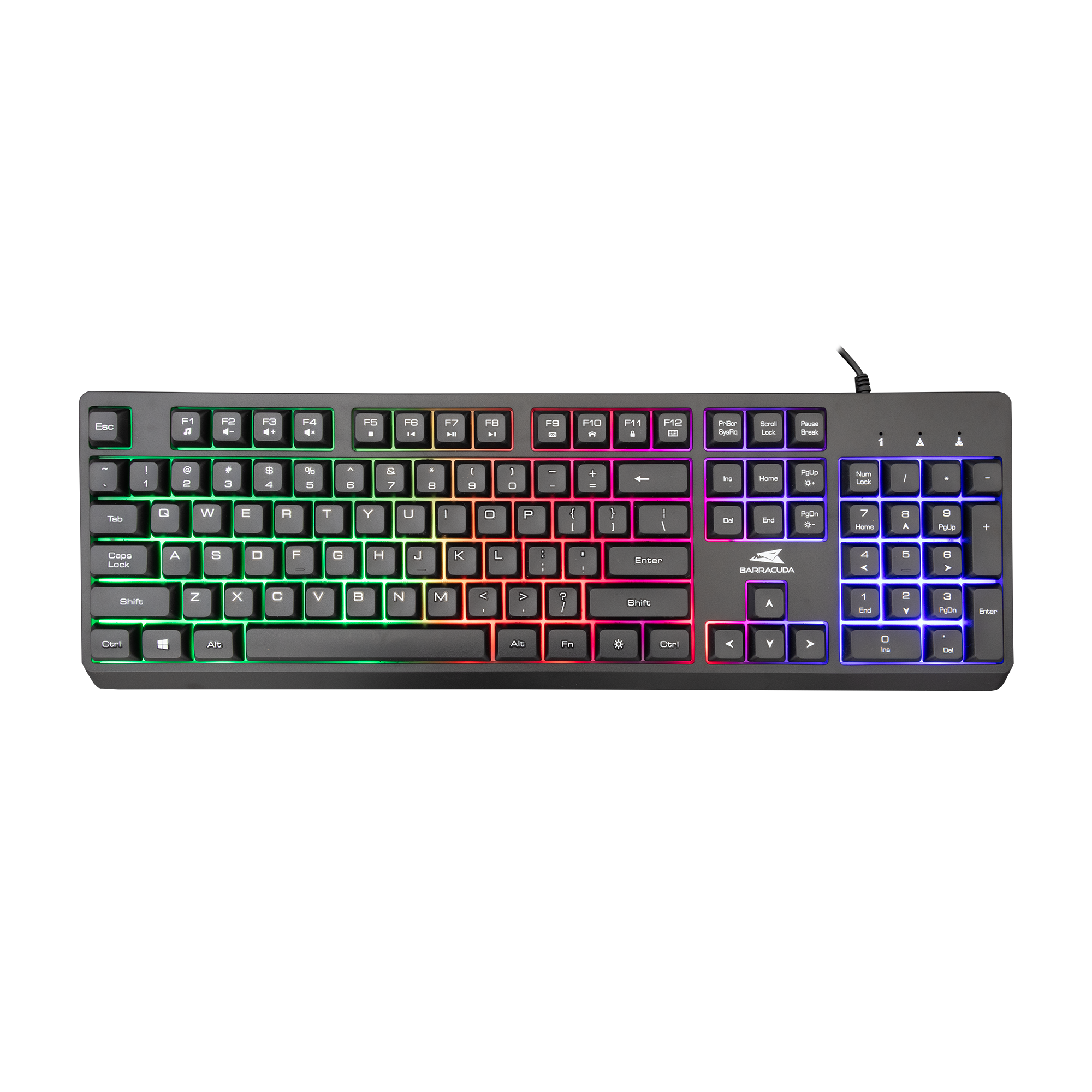 Tastatura Baracuda STARFISH Full Layout/Membranska/RGB/Crna/US