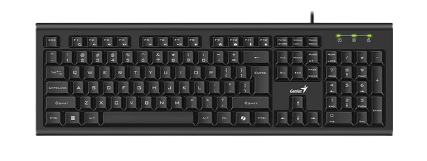 Genius KB-113,AI,BLK,US,USB