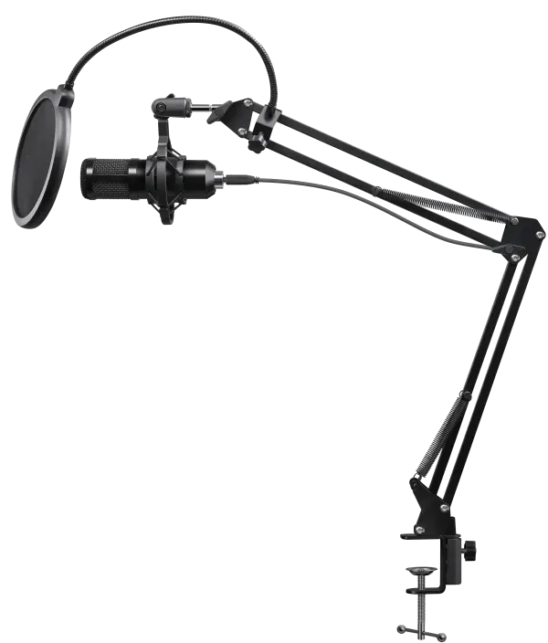 Gaming stream mikrofon Defender Space GMC450