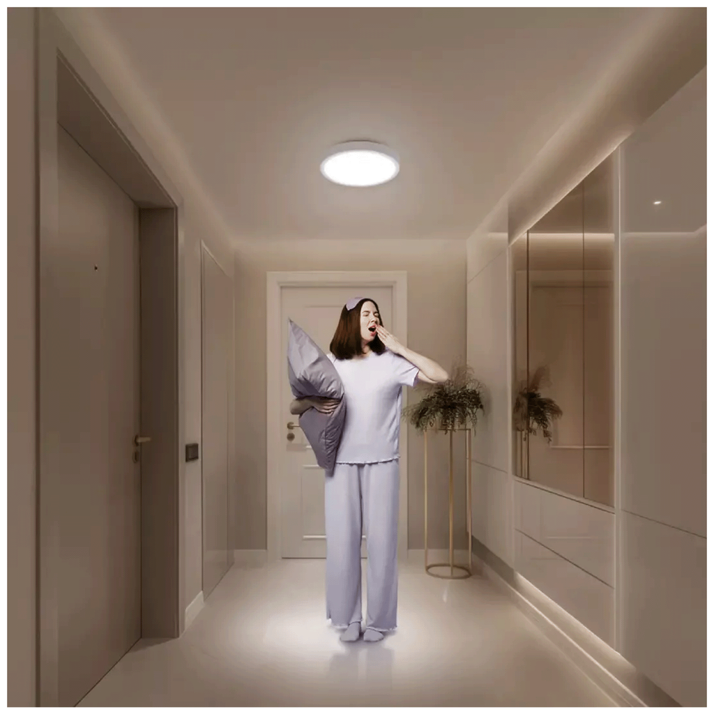Xiaomi Mi pametna plafonska lampa D20 17W LED