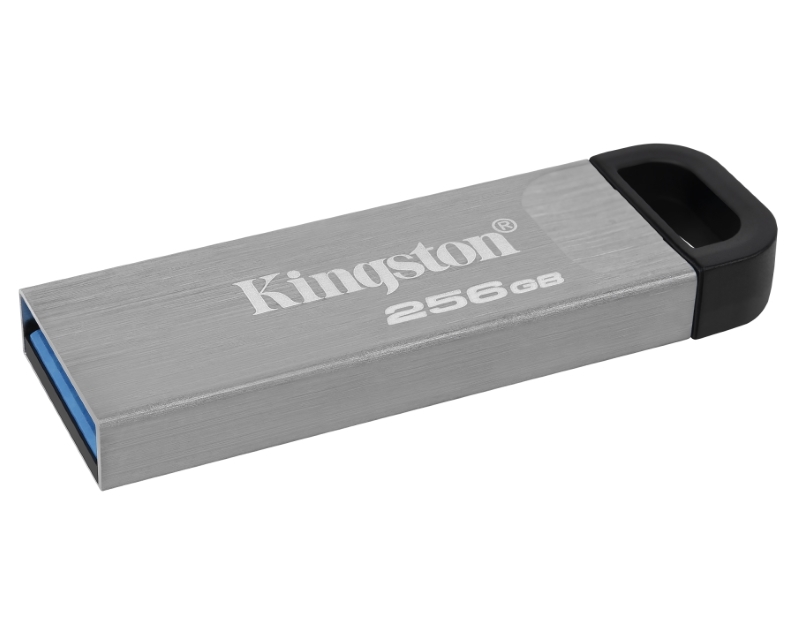 Kingston DTKN/256G USB Flash memorija, 256 GB, Srebrna