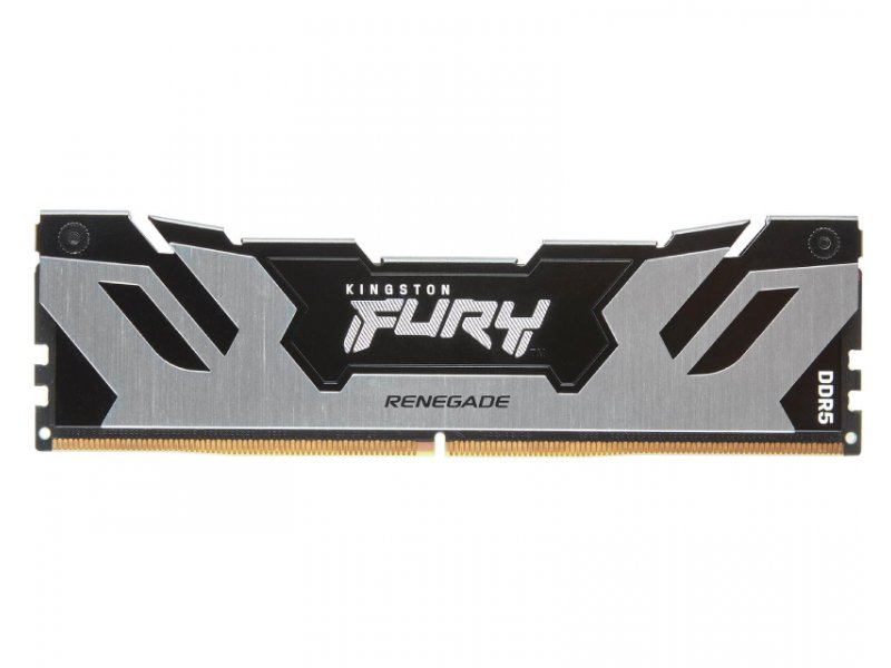 Kingston KF564C32RSK2-64 RAM memorija DDR5 DIMM 64GB 2x32GB kit 6400MT/s FURY Renegade