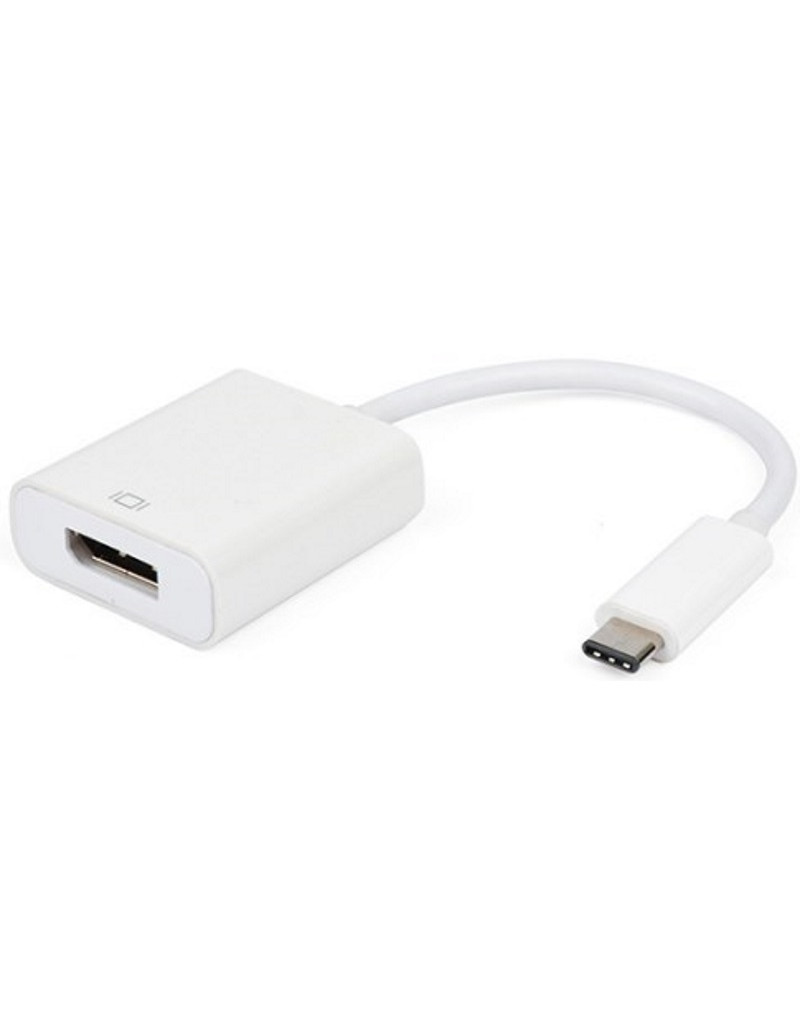 E-Green Adapter USB Tip C 3.1 m Display Port f