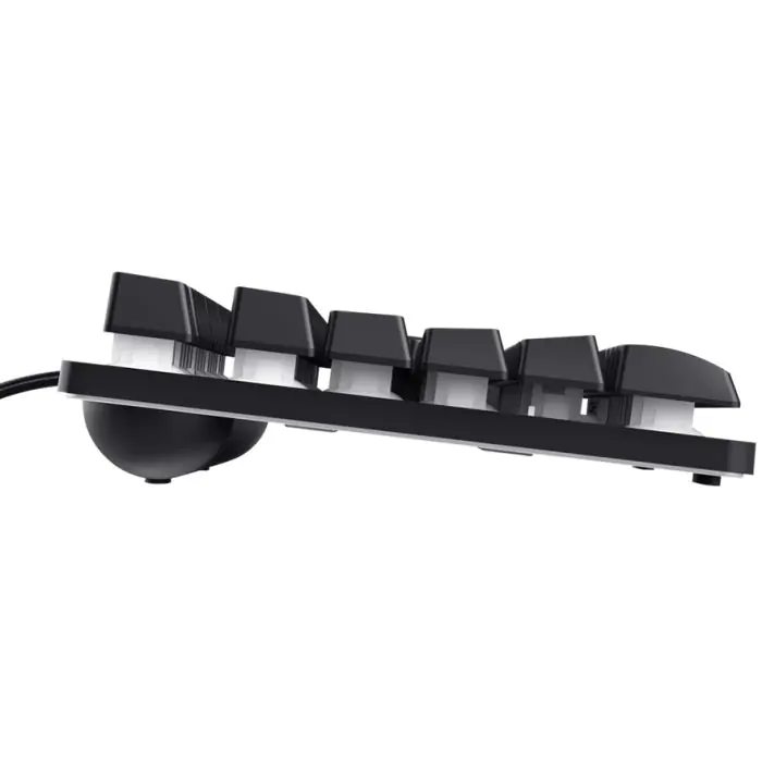 Trust GXT833 Thado Tenkeyless Gaming tastatura US RGB, Crna
