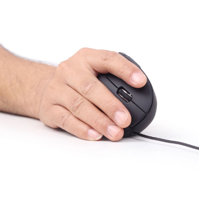 Gembird MUS-ERGO-01 Miš USB tipa A Optički 3200 DPI