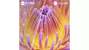 Philips 65PUS7000/12 Televizor 65" 4K UHD Smart TV, Crni