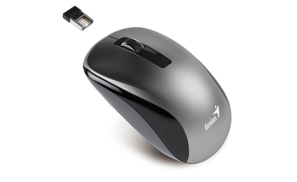 Genius Mouse NX-7010, USB, Gray, NEW Package
