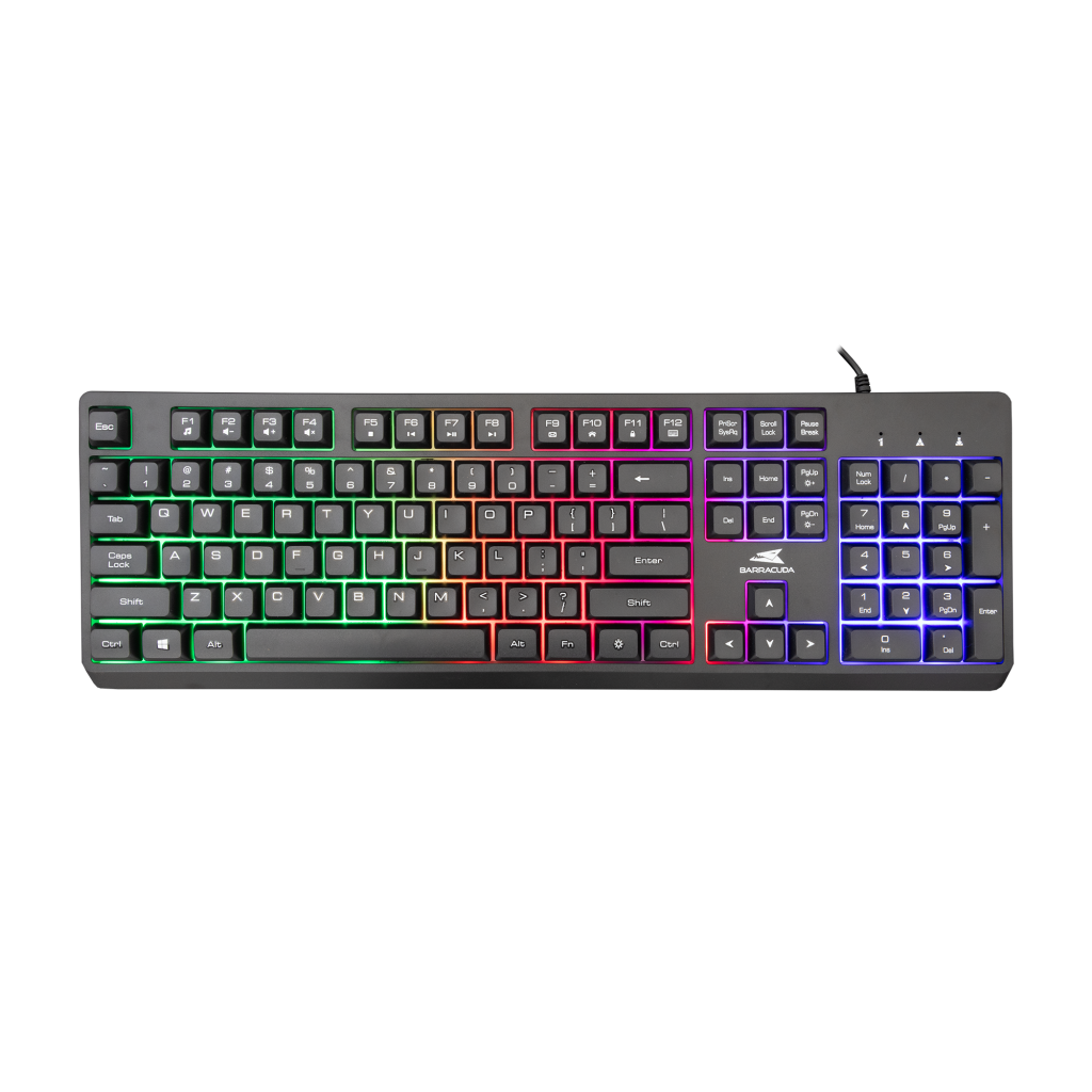 Tastatura Baracuda STARFISH Full Layout/Membranska/RGB/Crna/US